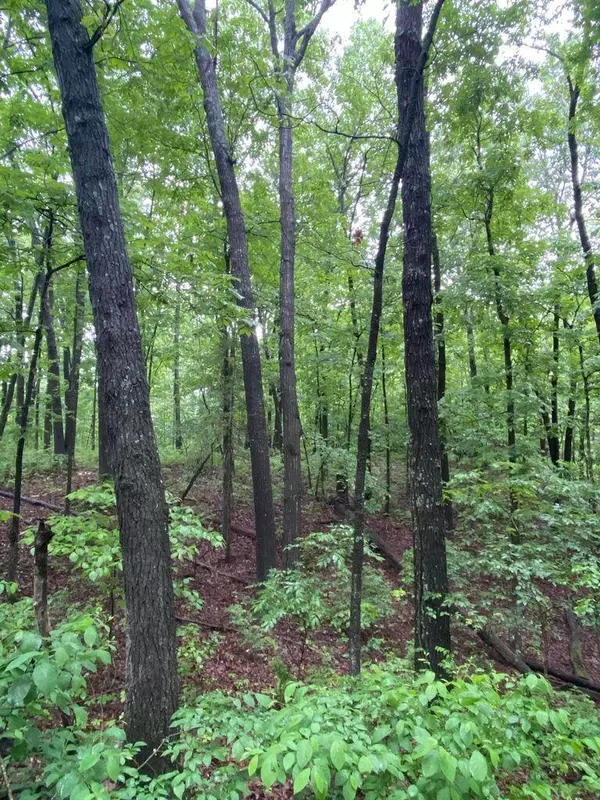 Crane, MO 65633,000 State Hwy A