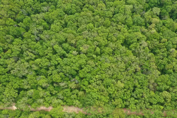 Clever, MO 65631,000 Union Ridge DR