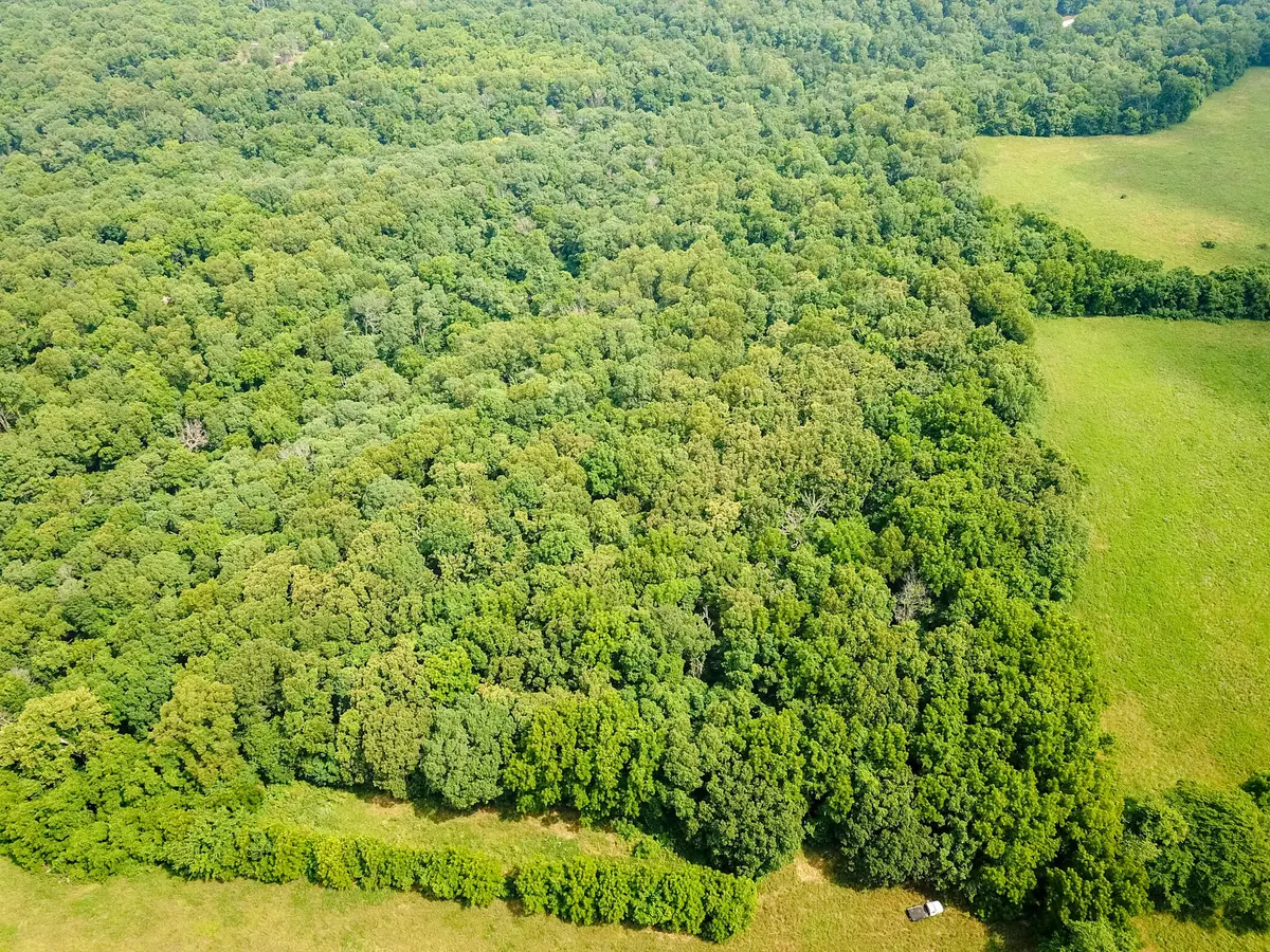 Clever, MO 65631,000 Union Ridge DR