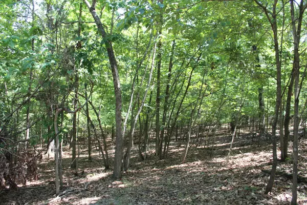 Protem, MO 65733,000 Eagle Ridge Road #Lots 3-6