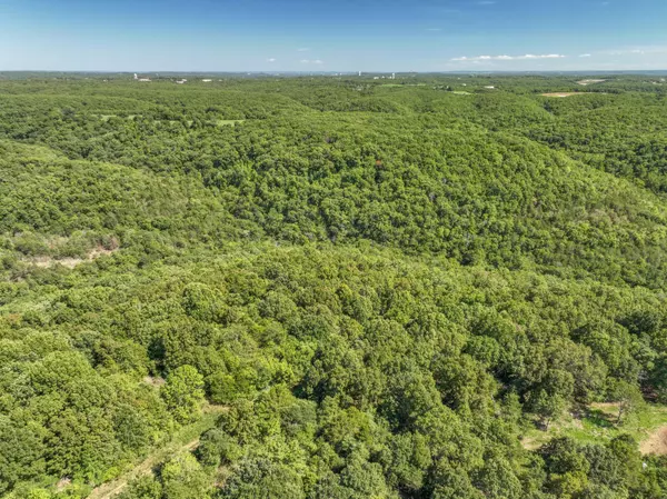 Galena, MO 65656,1350 Red Rock RD