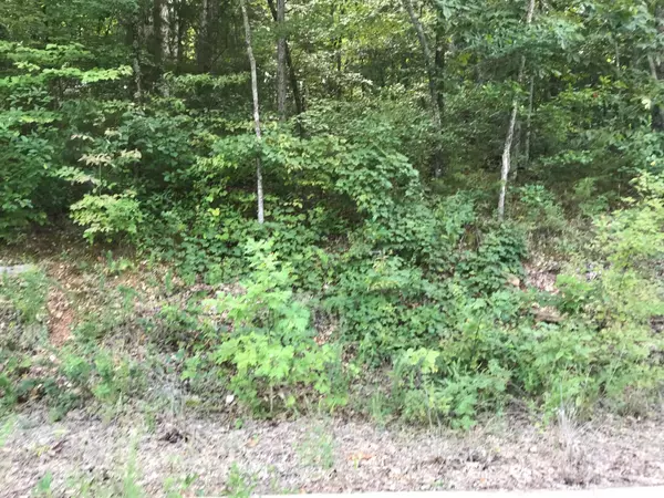 Lot 235 E Crescent DR, Hollister, MO 65672