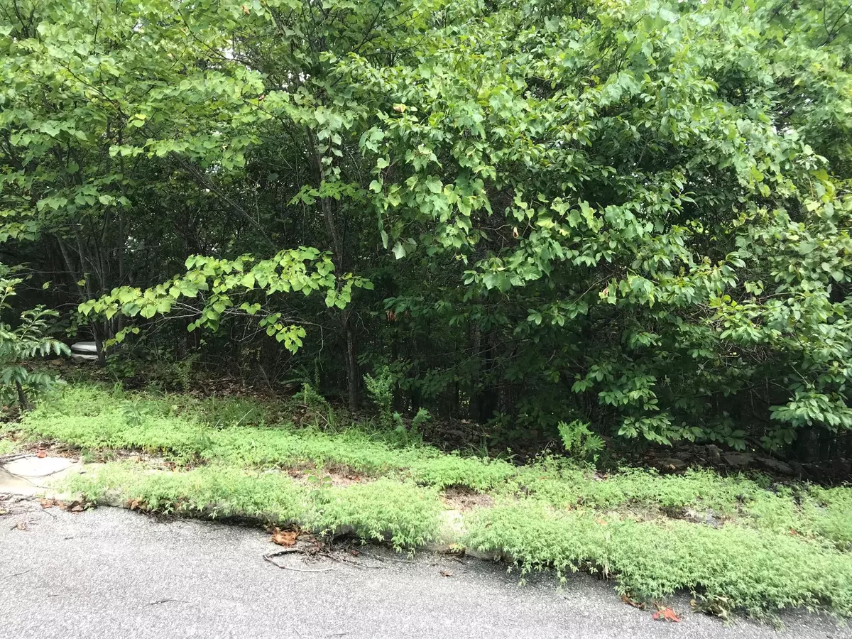 Hollister, MO 65672,Lot 256 Skylee DR