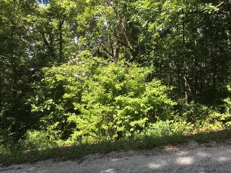Lot 255 Sharay CIR, Hollister, MO 65672