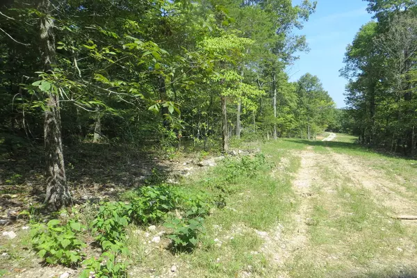 Thayer, MO 65791,Lot 15 Pr Off County Road 359