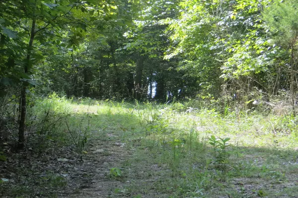 Thayer, MO 65791,Lot 15 Pr Off County Road 359