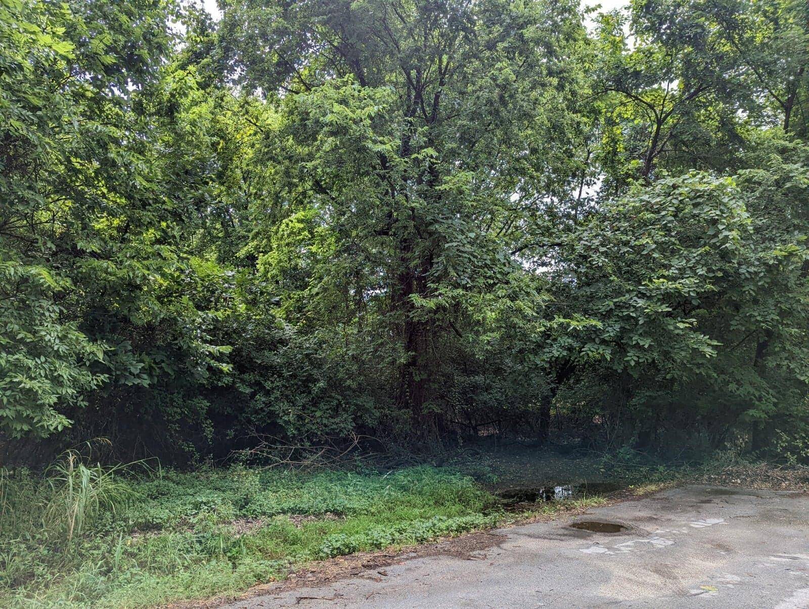 Springfield, MO 65803,Lot 4 N Farm Rd 139