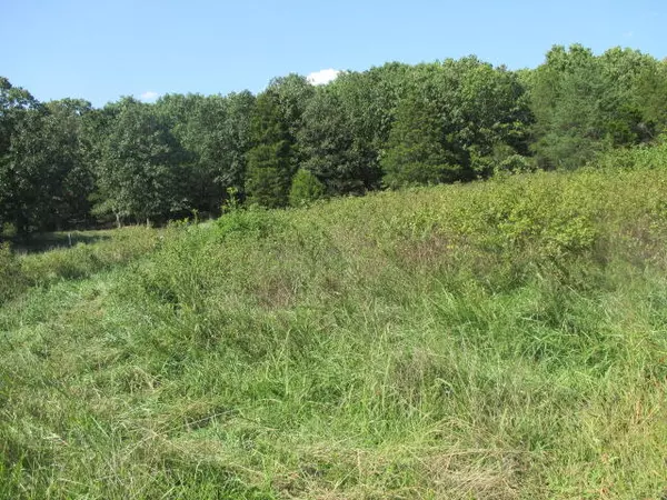 Willow Springs, MO 65793,000 Private Road 5346