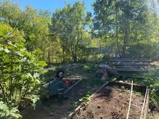 Eureka Springs, AR 72631,240 Mockingbird LN