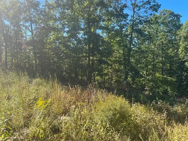 Raymondville, MO 65555,000 Golden Hills