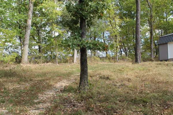 Eagle Rock, MO 65641,26510 Farm Road 1190