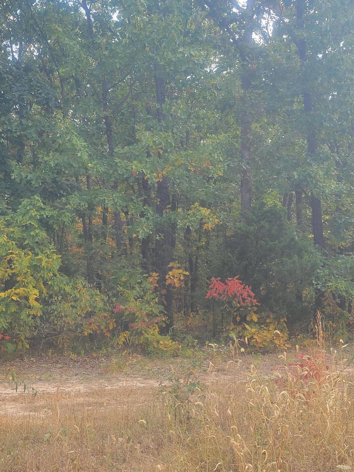 Lot #16 50th And E. 348th RD, Humansville, MO 65674