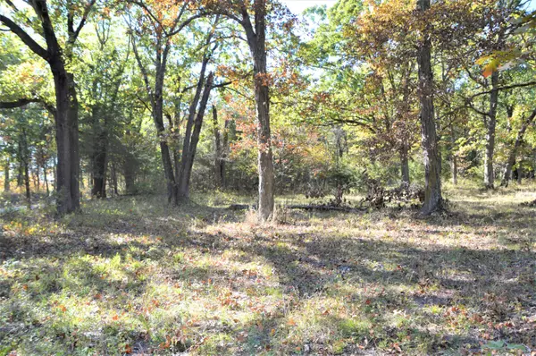 Urbana, MO 65767,9 Splitrail Rd. Tract A & B