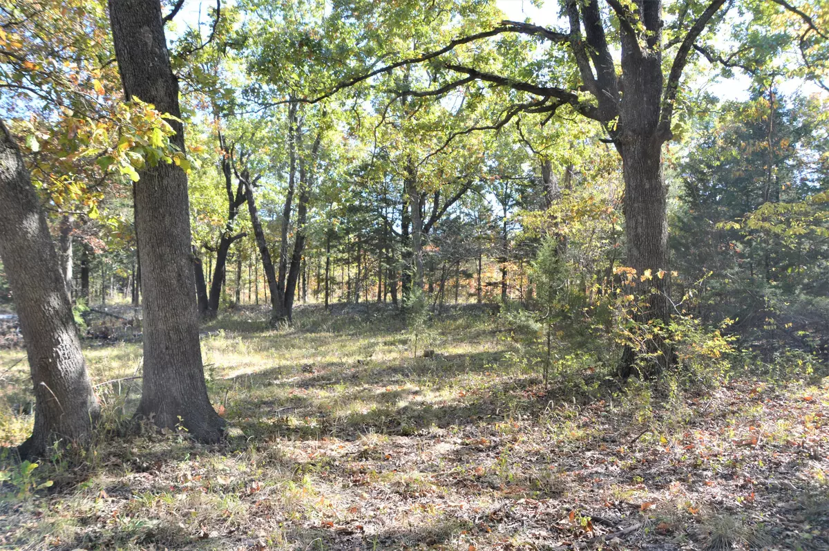 Urbana, MO 65767,9 Splitrail Rd. Tract A & B