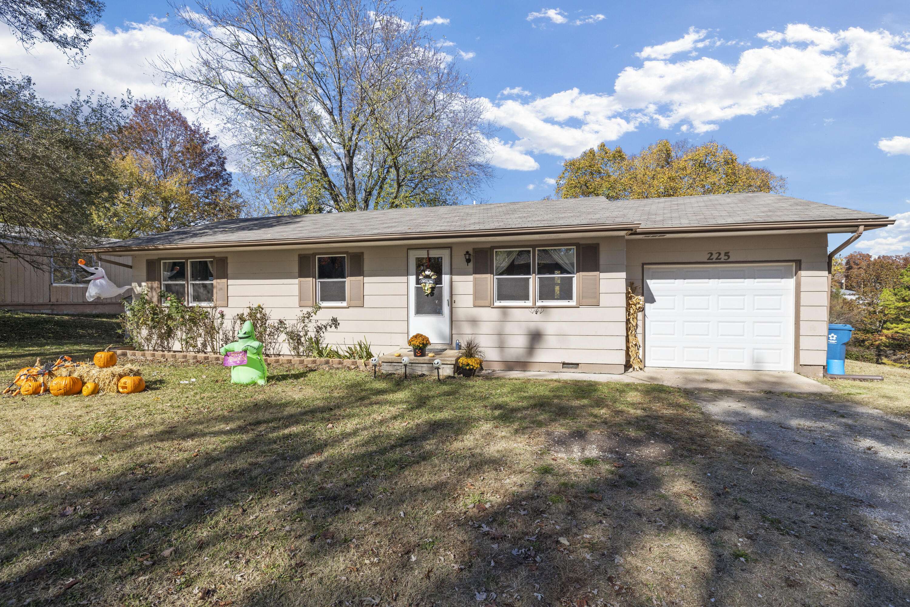 225 Division ST, Forsyth, MO 65653