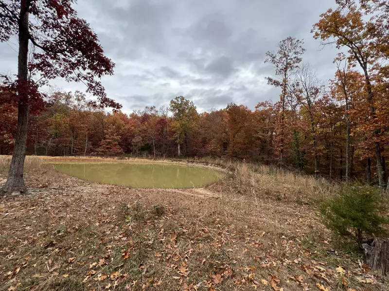 000 Hatfield RD, Norwood, MO 65717