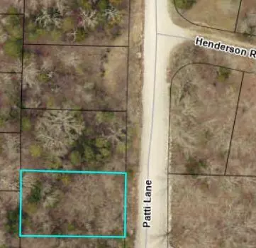 Rockaway Beach, MO 65740,Lot 28 Patti LN