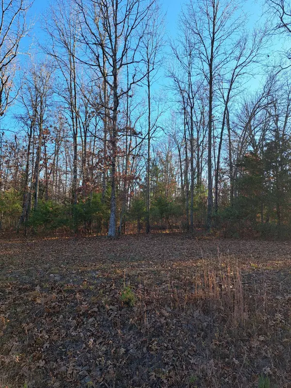 000 County Road 181-356 #Tract D, Dora, MO 65637