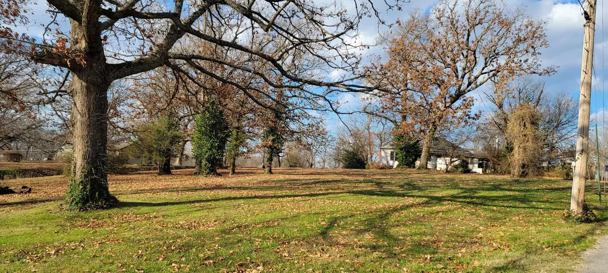 Crane, MO 65633,Lot 1 Crane ST