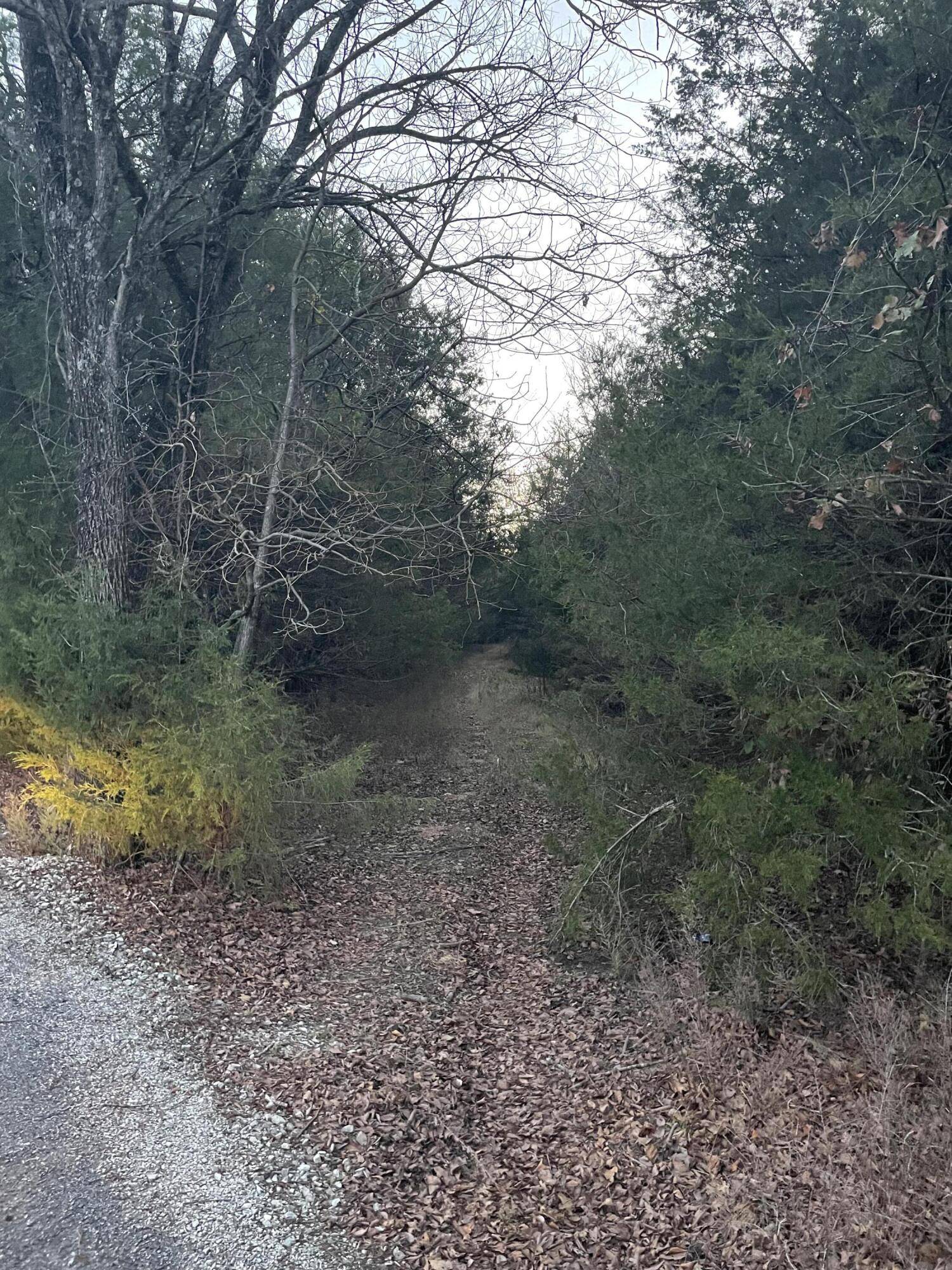 Golden, MO 65658,000 Farm Road 2250