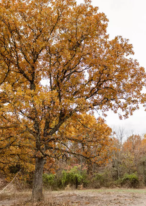 Phillipsburg, MO 65722,000 Grover Street