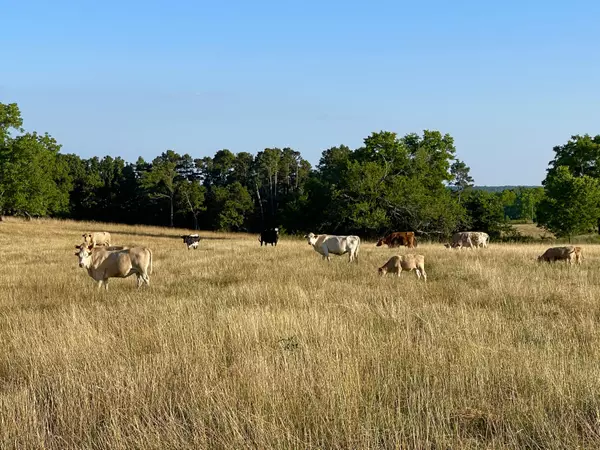 Dora, MO 65637,Rr 1 Box 3010