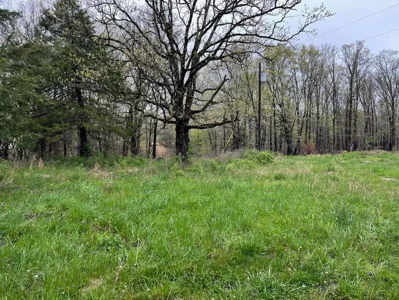 000 Tbd Meyers Hollow RD, Fordland, MO 65652