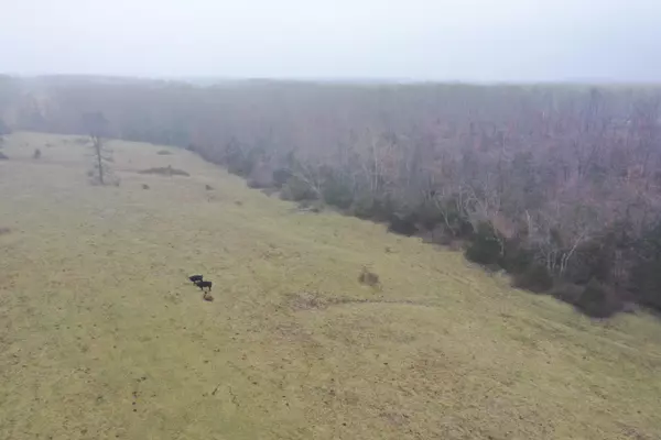 0 Tract 1 Alcorn RD, Seymour, MO 65746