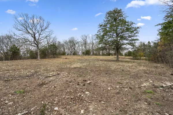 Cape Fair, MO 65624,1 Acre Pinto LN