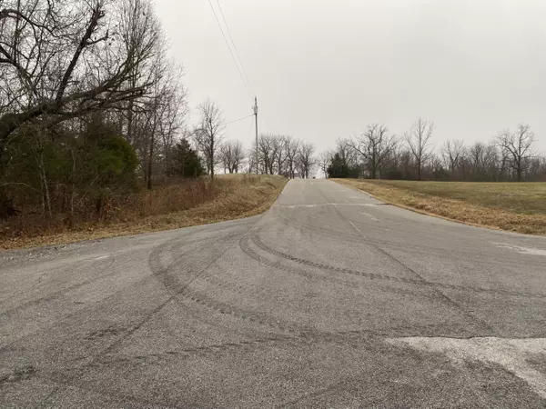 Brighton, MO 65617,12040 N Northern Heights DR