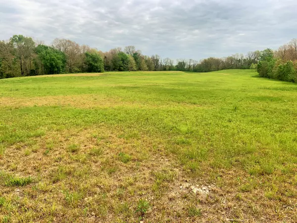 Anderson, MO 64831,106 Acres Indian Creek RD