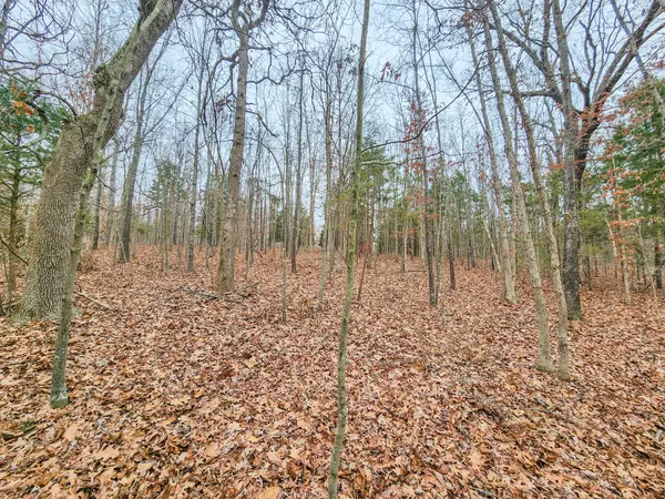 Urbana, MO 65767,000 Cedar Lane