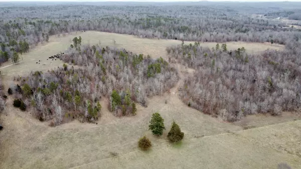 Ellsinor, MO 63937,000 Carter 316