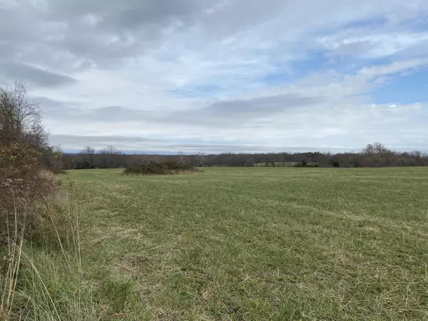 Sparta, MO 65753,Tract 1b Johnson Rd