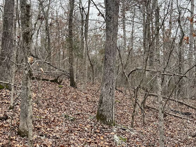 Lot 7 Private Road Off 63 South, Mammoth Spring, AR 72554