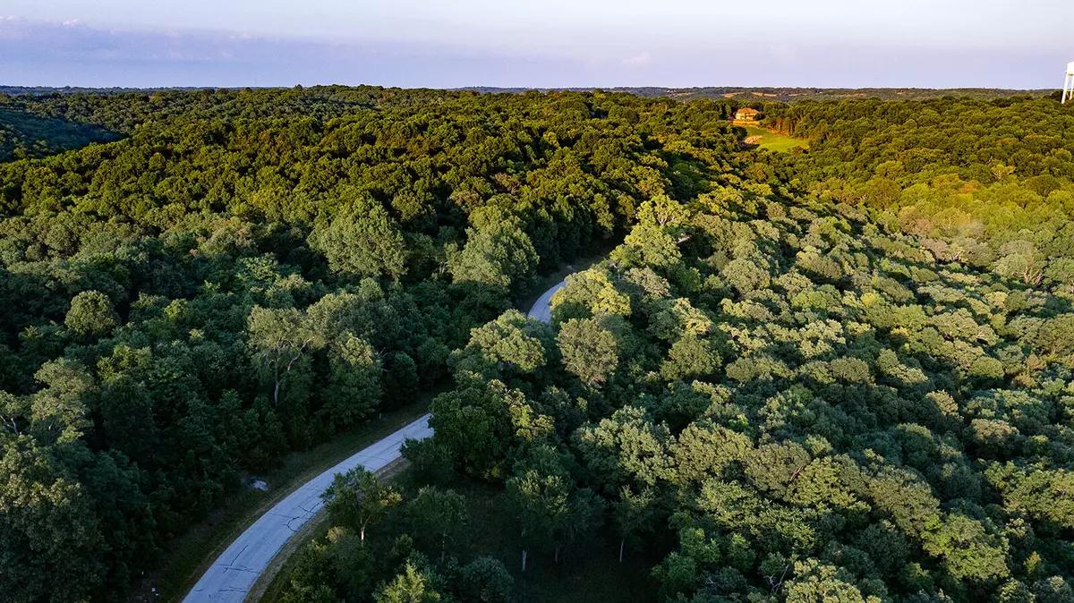 Cape Fair, MO 65624,Lot 6 Hanging Branch Ridge