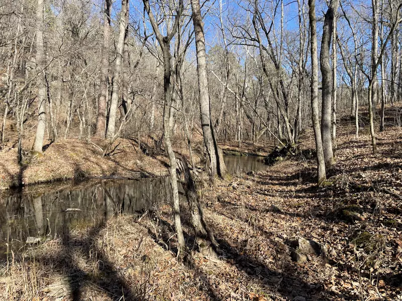 Tbd Boone Creek RD, Licking, MO 65542