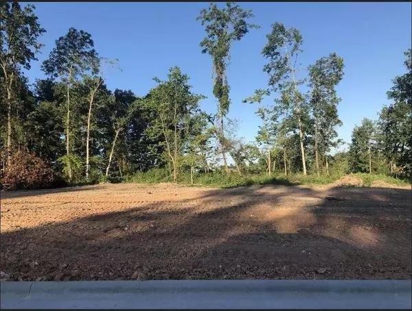 Lot 44 Anthony Park Subdivision Ph 4, Springfield, MO 65810