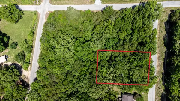 Eagle Rock, MO 65641,Lot 13 Farm Road 1222