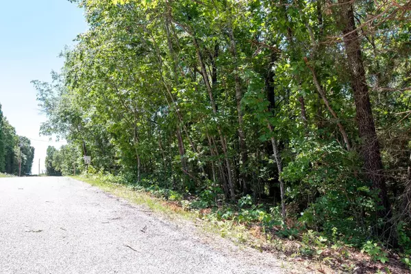 Eagle Rock, MO 65641,Lot 13 Farm Road 1222