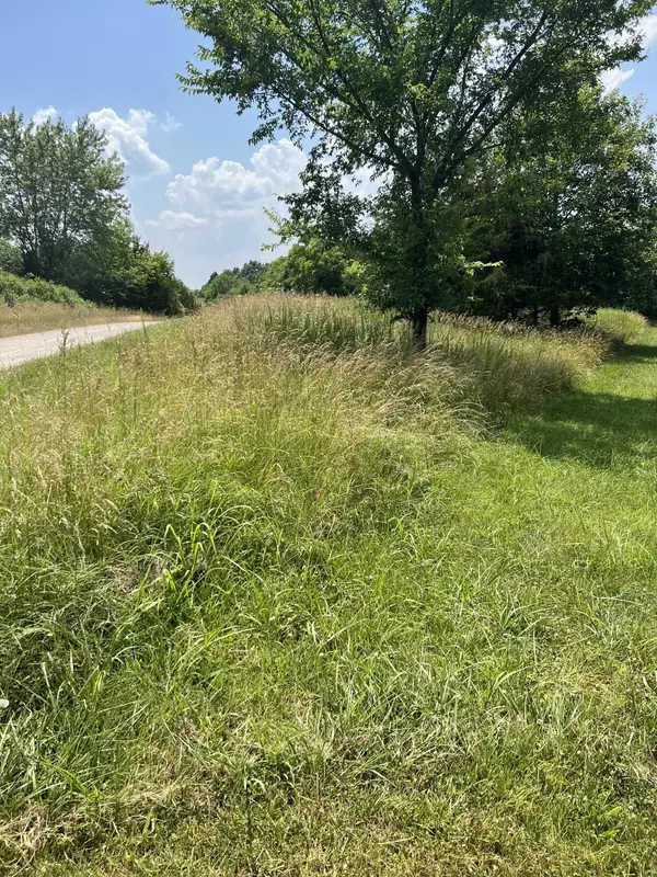 Galena, MO 65656,805 Hardin Hills DR