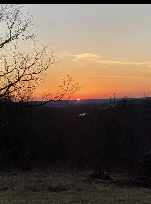 Galena, MO 65656,805 Hardin Hills DR