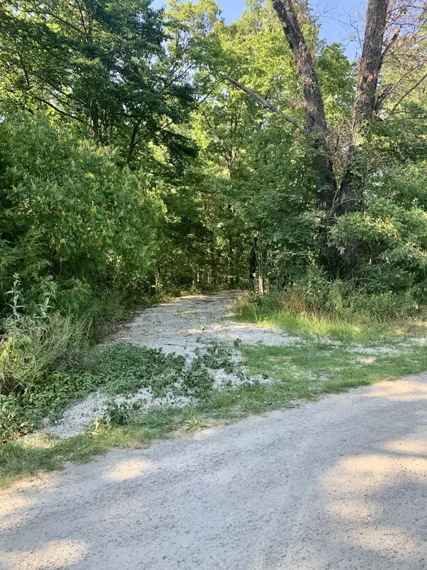 Galena, MO 65656,65 Curry LN