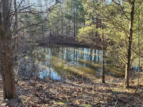 Gainesville, MO 65655,000 State Highway Z