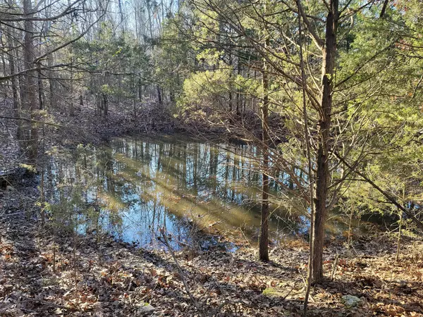 Gainesville, MO 65655,000 State Highway Z