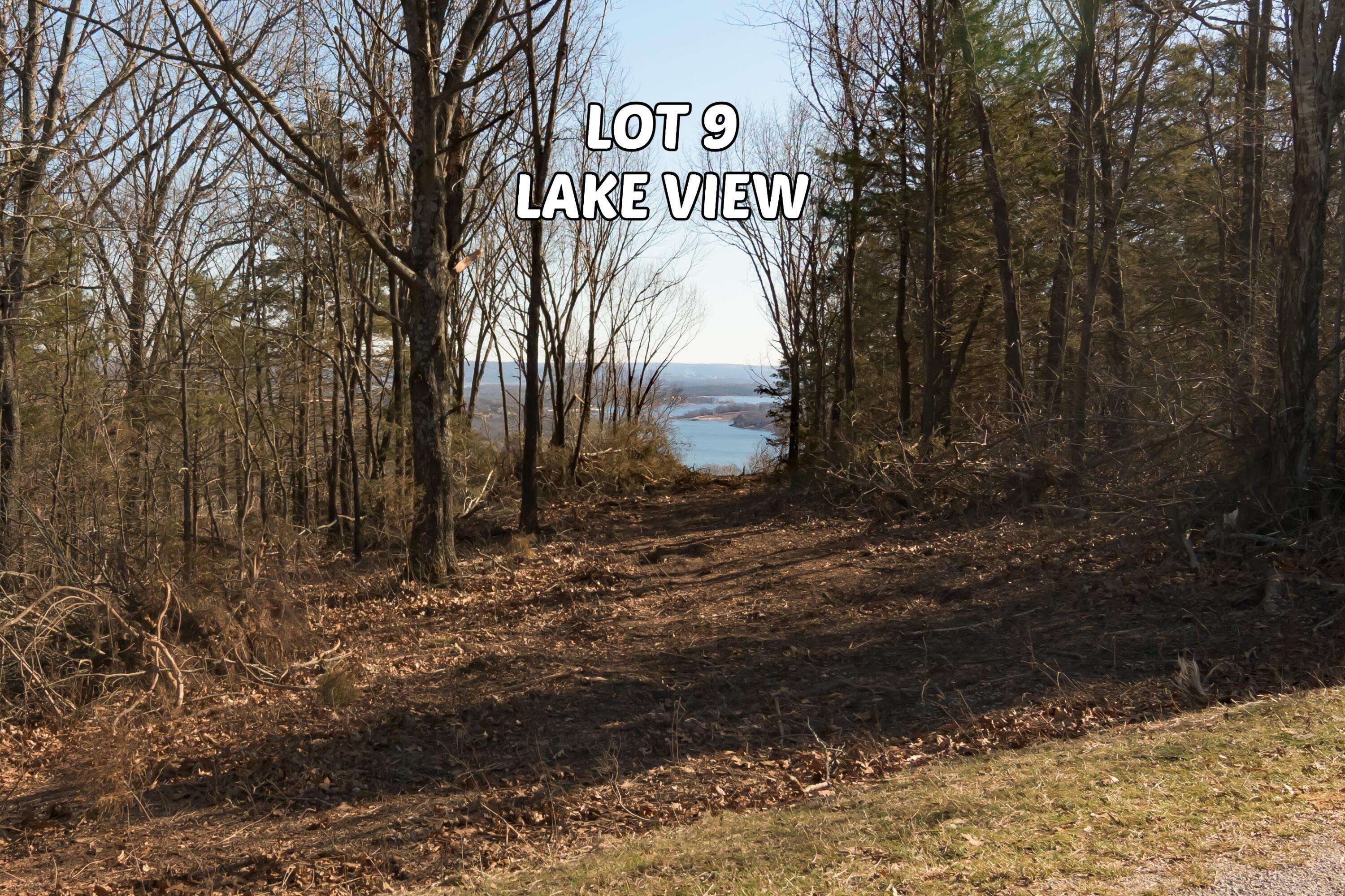 Branson West, MO 65737,Lot 9 By Pass LOOP