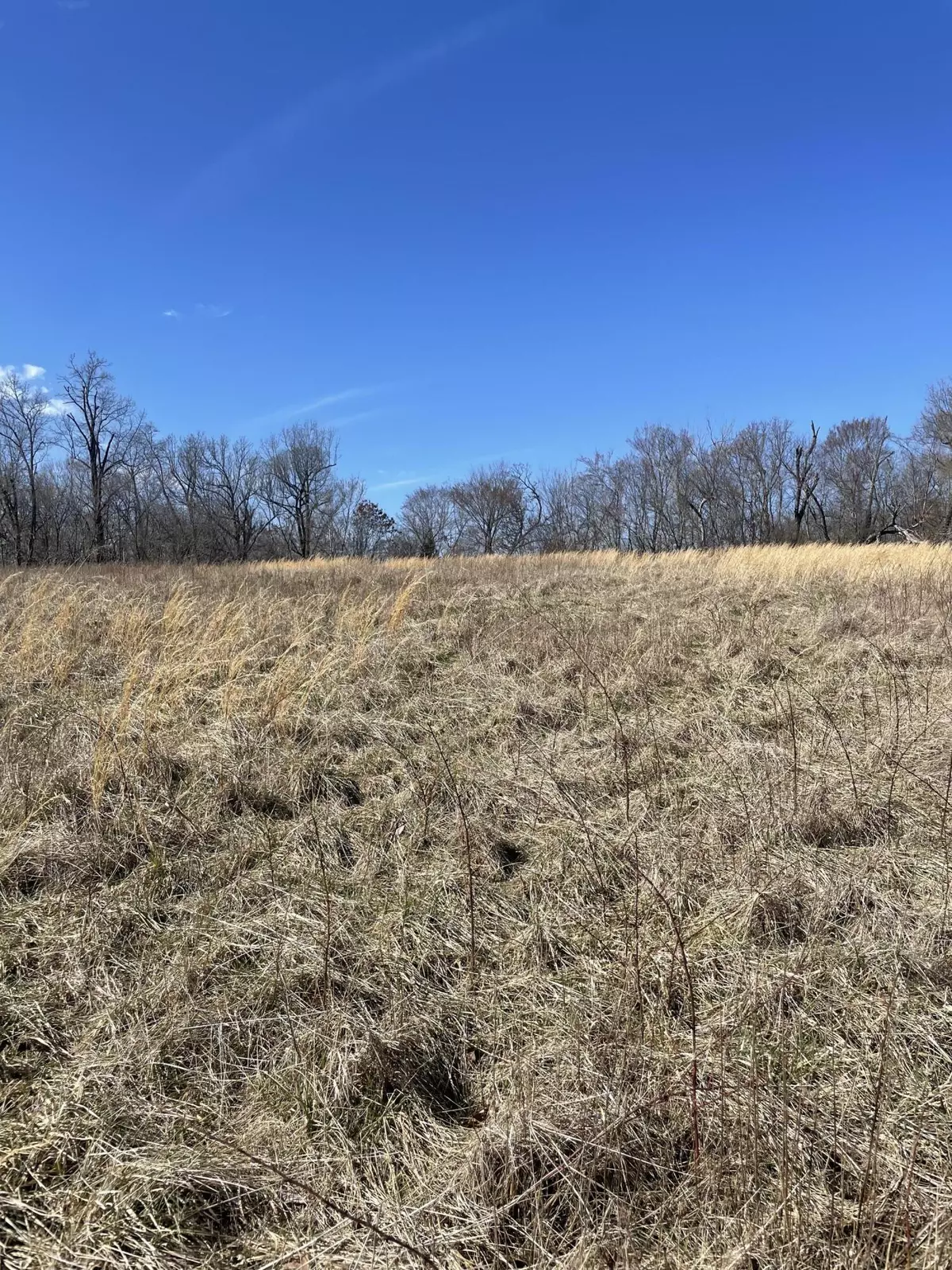 Goodman, MO 64843,Ooo Huckleberry RD