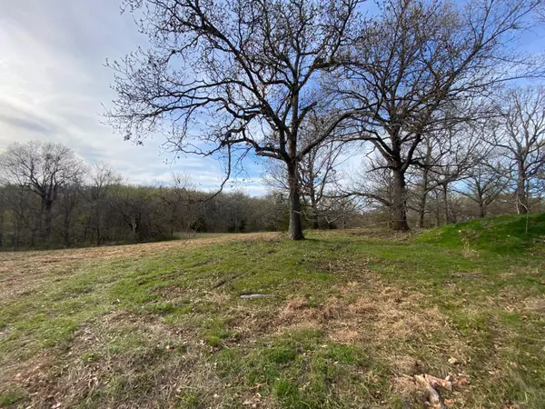 Noel, MO 64854,Lot 15 Cherry Bark Lane