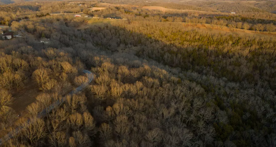 Lot 6 Mule Barn DR, Cape Fair, MO 65624