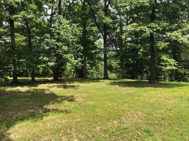 Lot 66 Saddlebrooke DR, Saddlebrooke, MO 65630